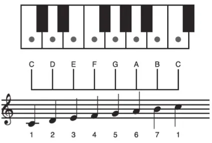 How to read numeric sample notation of kalimba_kookalimba